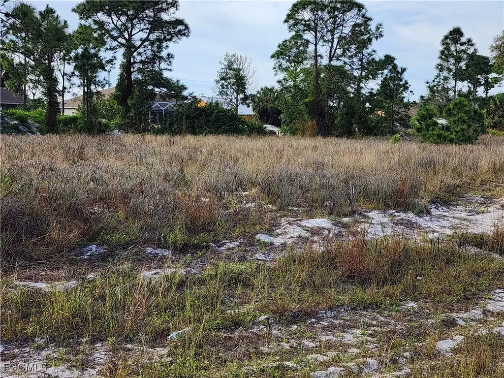 1230 Edelweiss Street E Lehigh Acres FL 33974