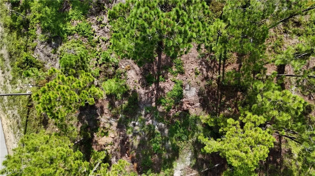 710 Almelia Street E Lehigh Acres FL 33974