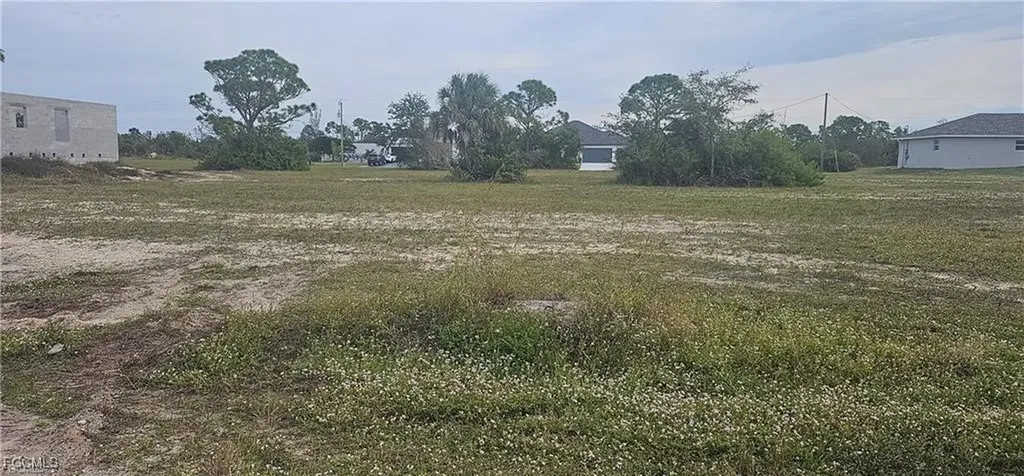 3217 NW 41st Place Cape Coral FL 33993