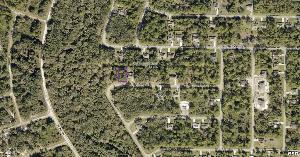 0967058148 Fling Avenue North Port FL 34291