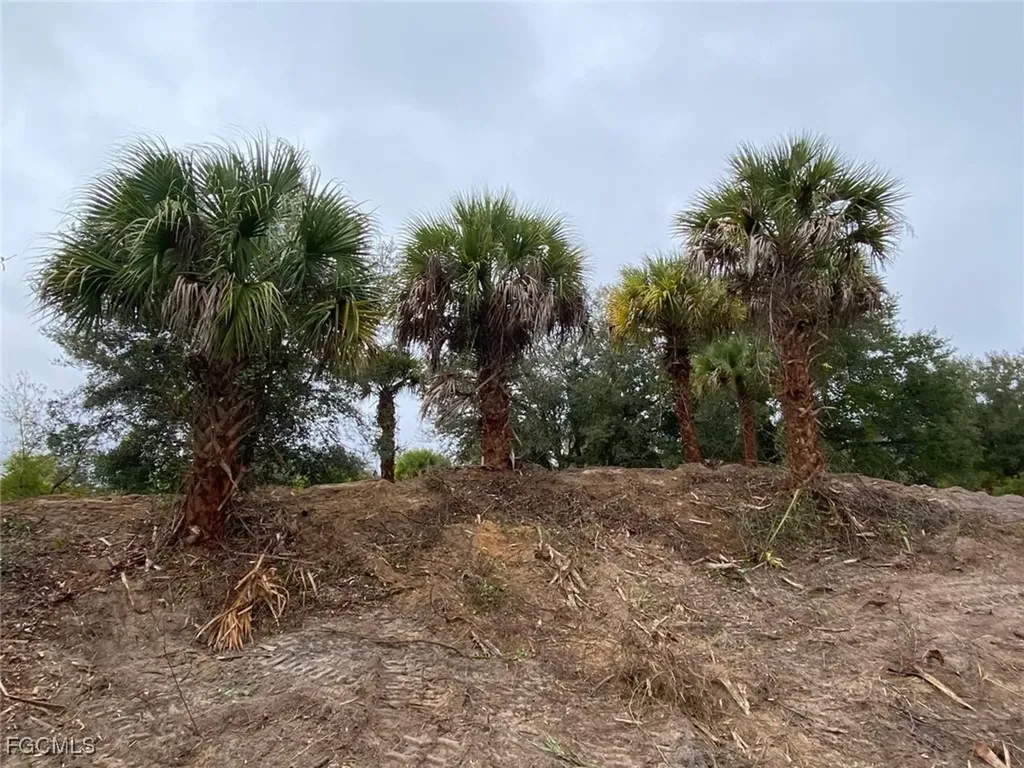 20018 NW 284th Street Okeechobee FL 34972