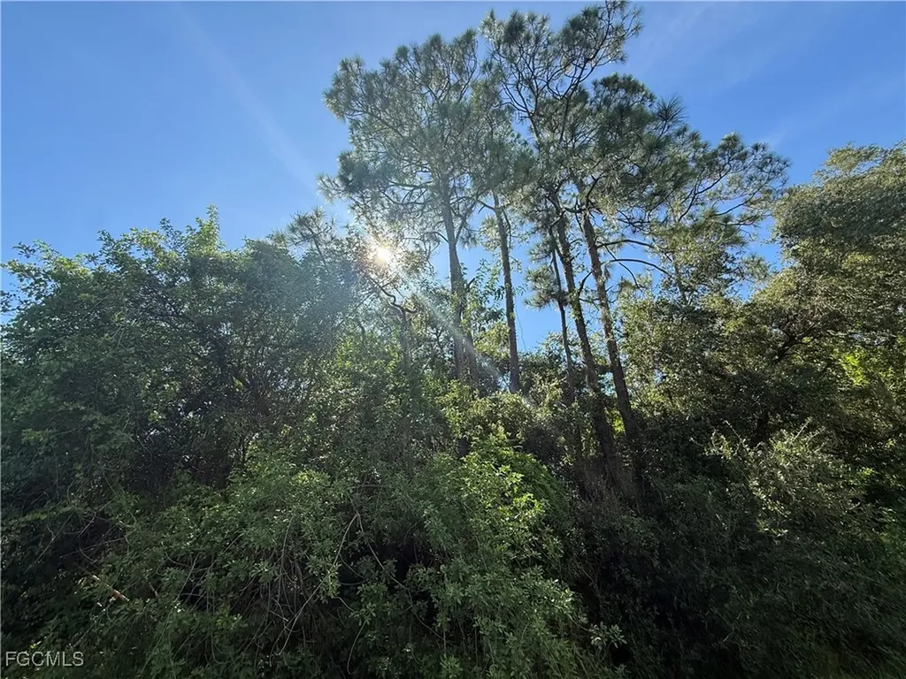 780 N Zambria Street Clewiston FL 33440