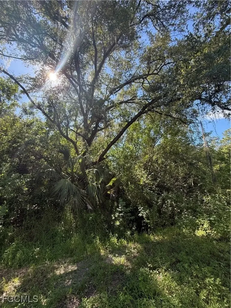 780 N Zambria Street Clewiston FL 33440