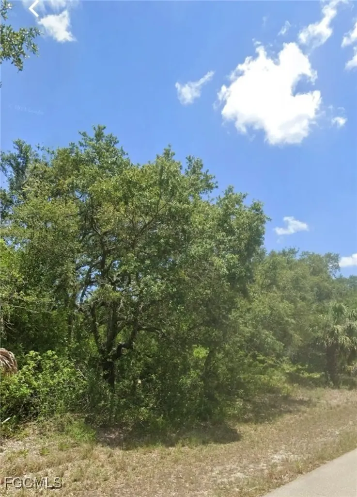 1621 Canton Avenue Lehigh Acres FL 33972