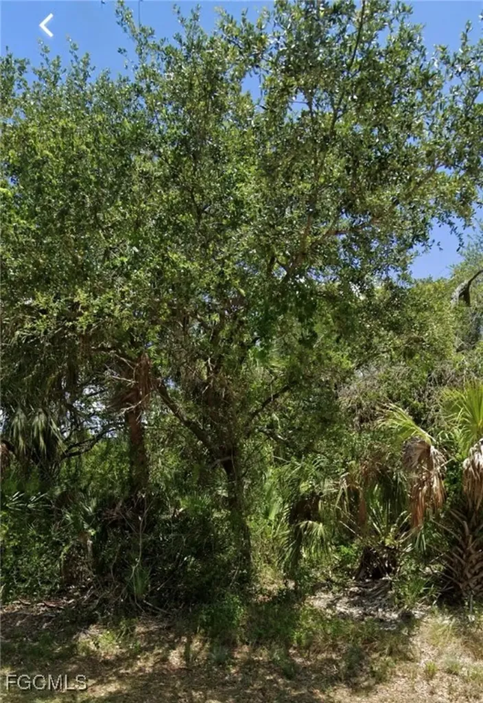 1621 Canton Avenue Lehigh Acres FL 33972