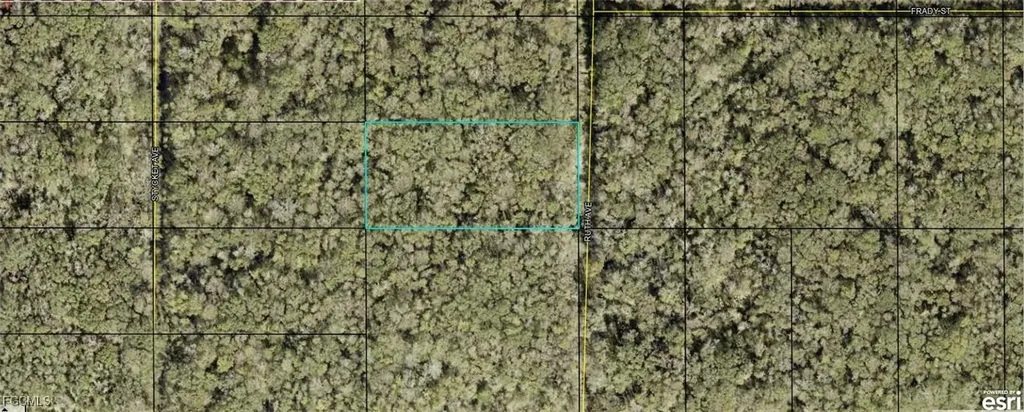 21-10-28-2775-00050-0177 Ruth Avenue Hastings FL 32145