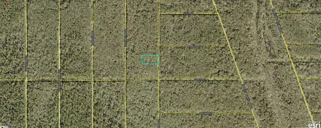 21-10-28-2775-00050-0177 Ruth Avenue Hastings FL 32145