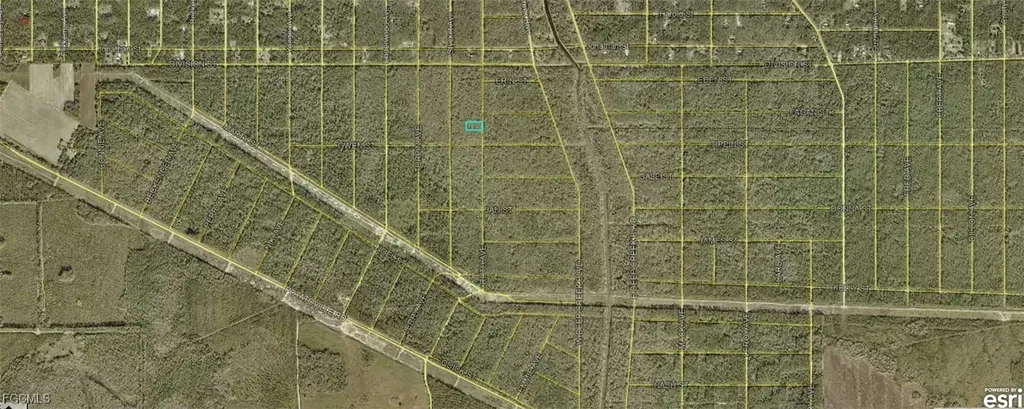 21-10-28-2775-00050-0177 Ruth Avenue Hastings FL 32145