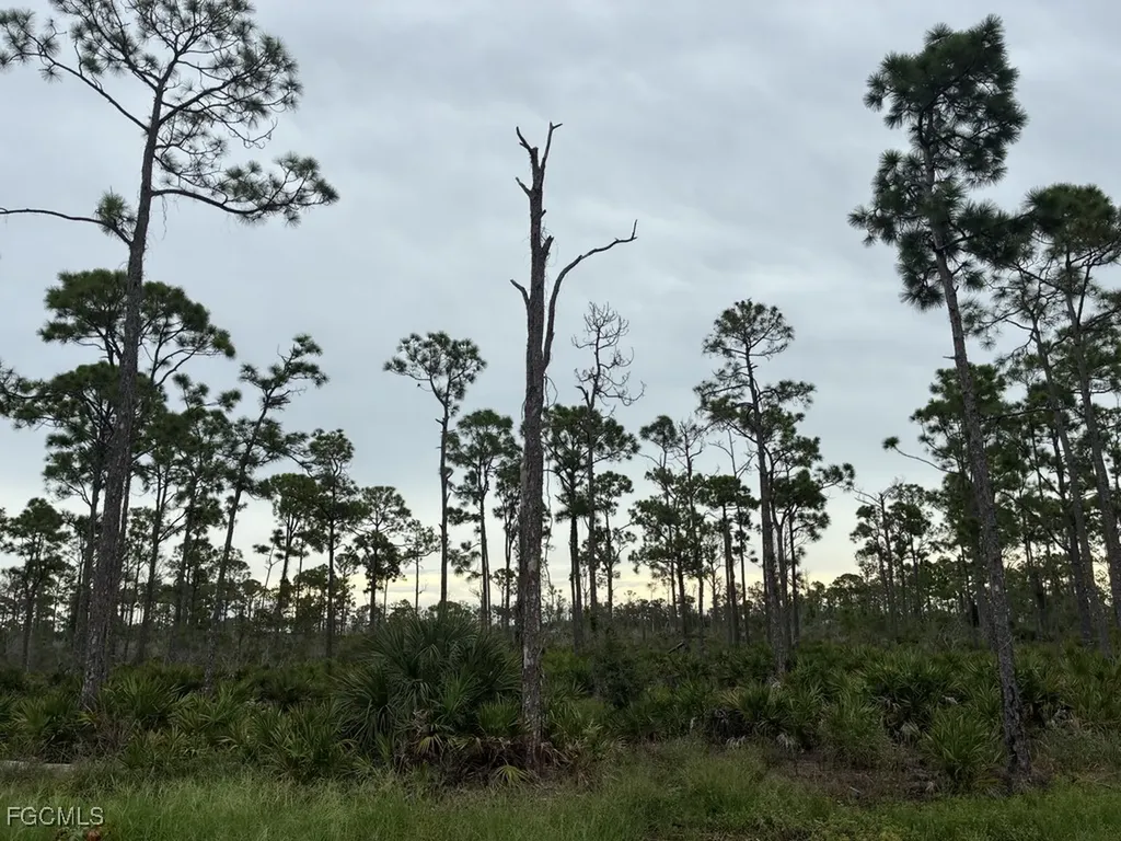 2301 SW 38th Terrace Cape Coral FL 33914