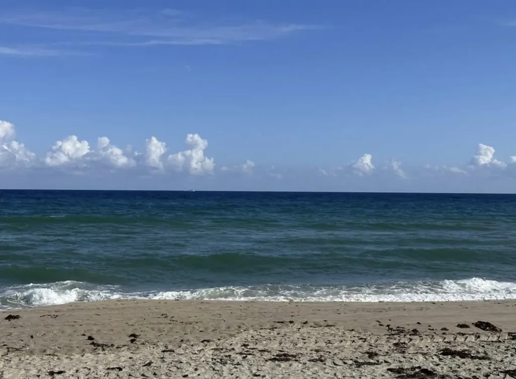49 Douglas Drive Ocean Ridge FL 33435