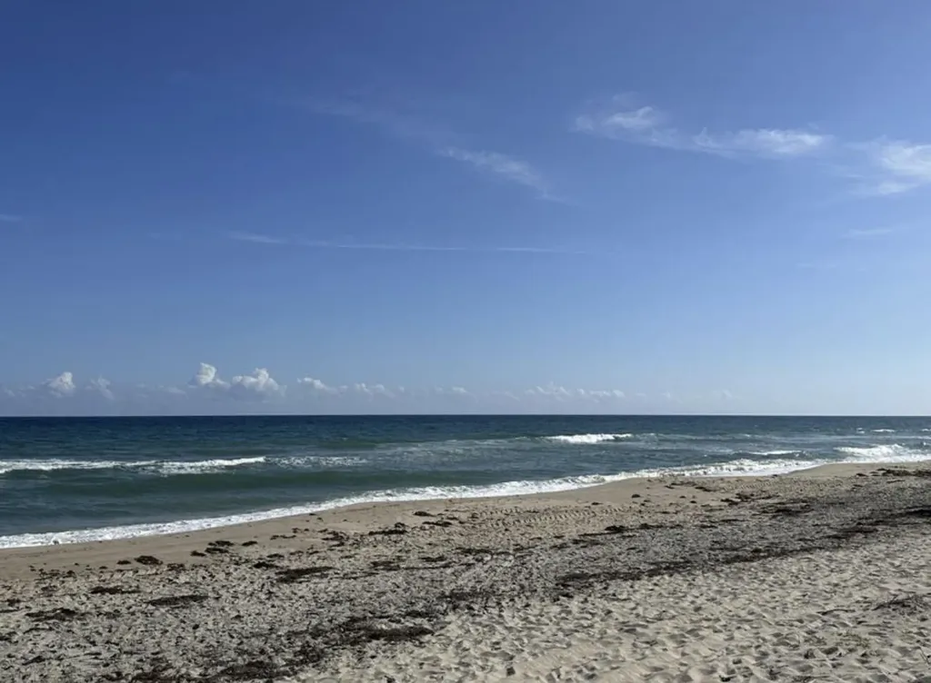 49 Douglas Drive Ocean Ridge FL 33435
