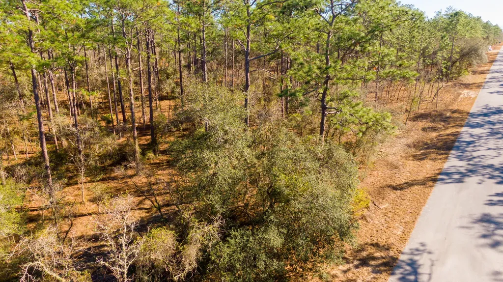 0000 SW Commodore Road Dunnellon FL 34431