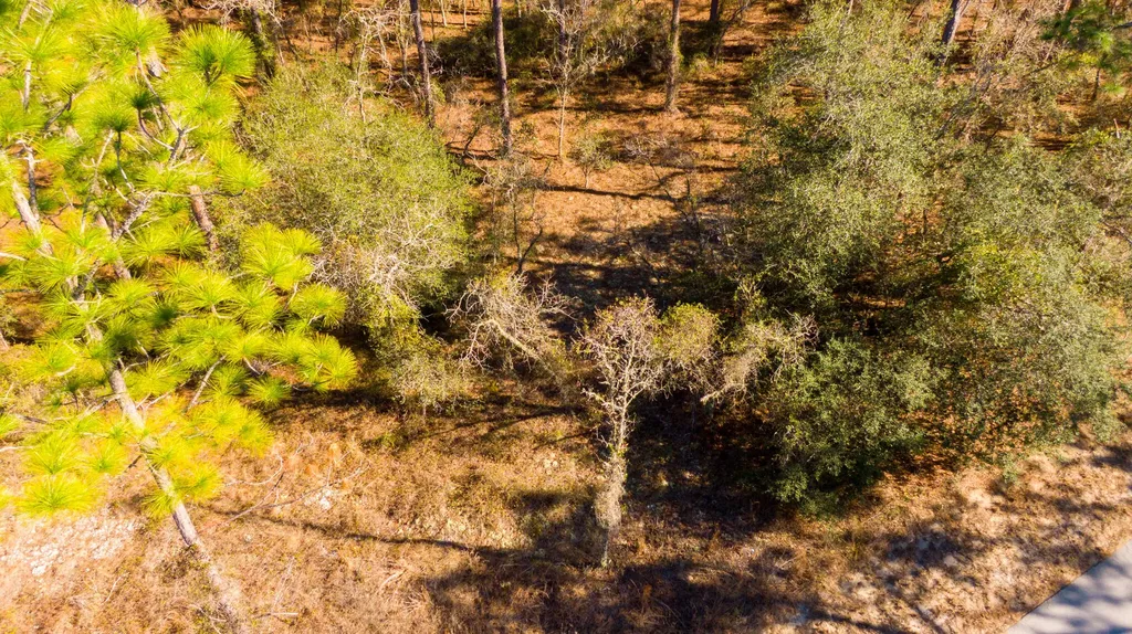 0000 SW Commodore Road Dunnellon FL 34431