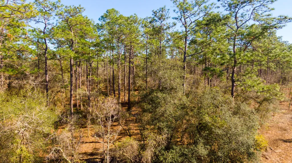 0000 SW Commodore Road Dunnellon FL 34431