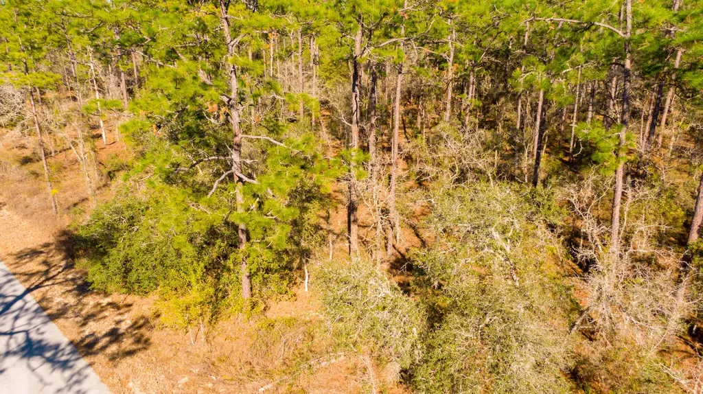 0000 SW Commodore Road Dunnellon FL 34431