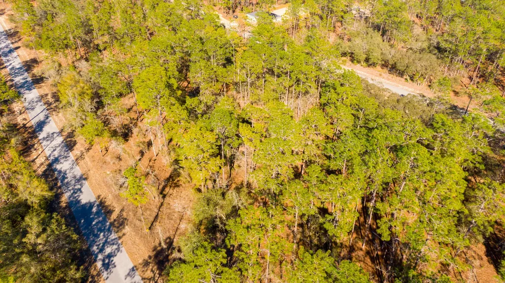 0000 SW Commodore Road Dunnellon FL 34431