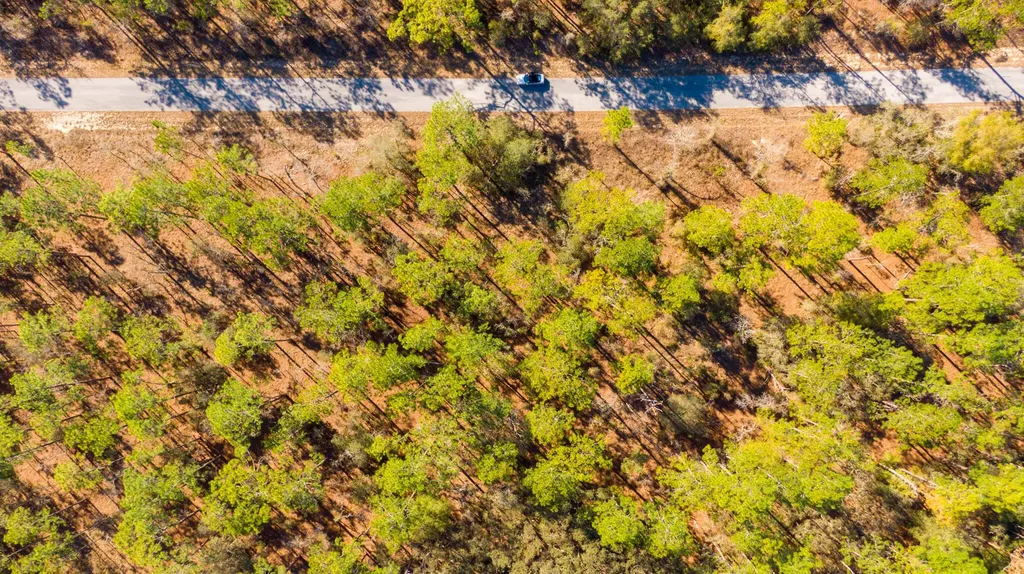 0000 SW Commodore Road Dunnellon FL 34431