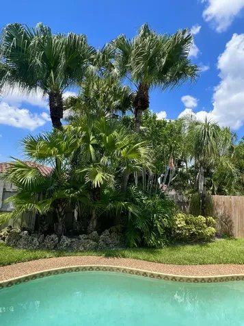 3421 NW 25th Terrace Boca Raton FL 33434