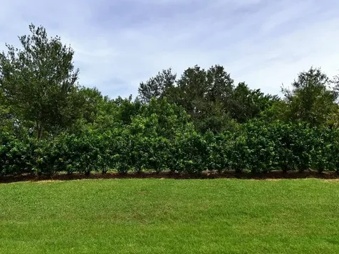 4341 Winding Place Fort Pierce FL 34981