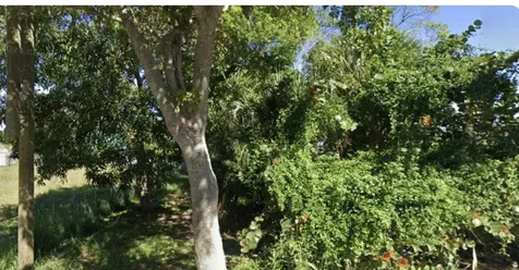 619 14th Street West Palm Beach FL 33401