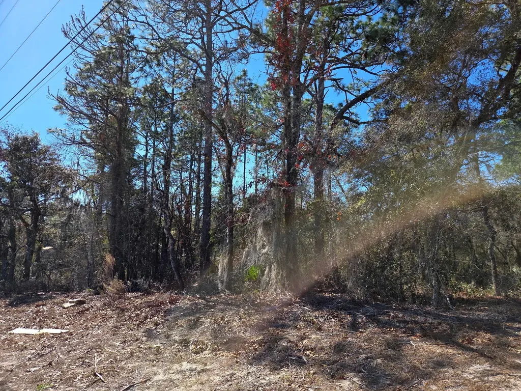 8 Marion Oaks Lane Ocala FL 34473