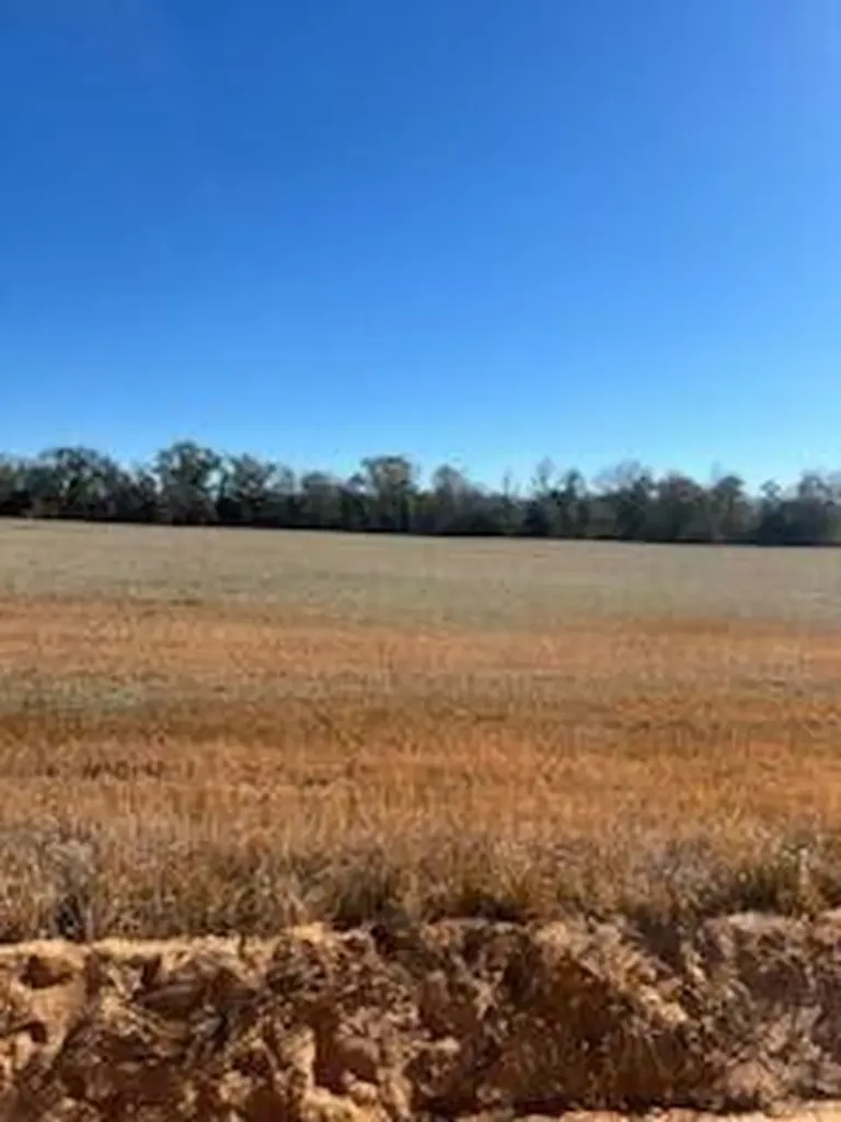 5123 Elmore Road Marianna FL 32446
