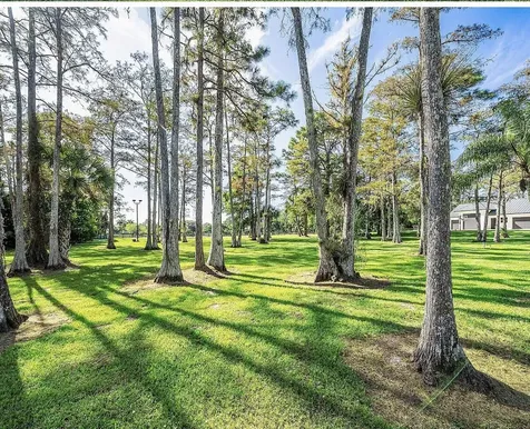 11230 Alligator Trail Wellington FL 33449