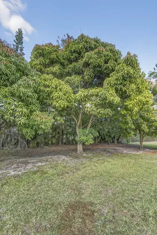 16107 86th Street N Loxahatchee FL 33470