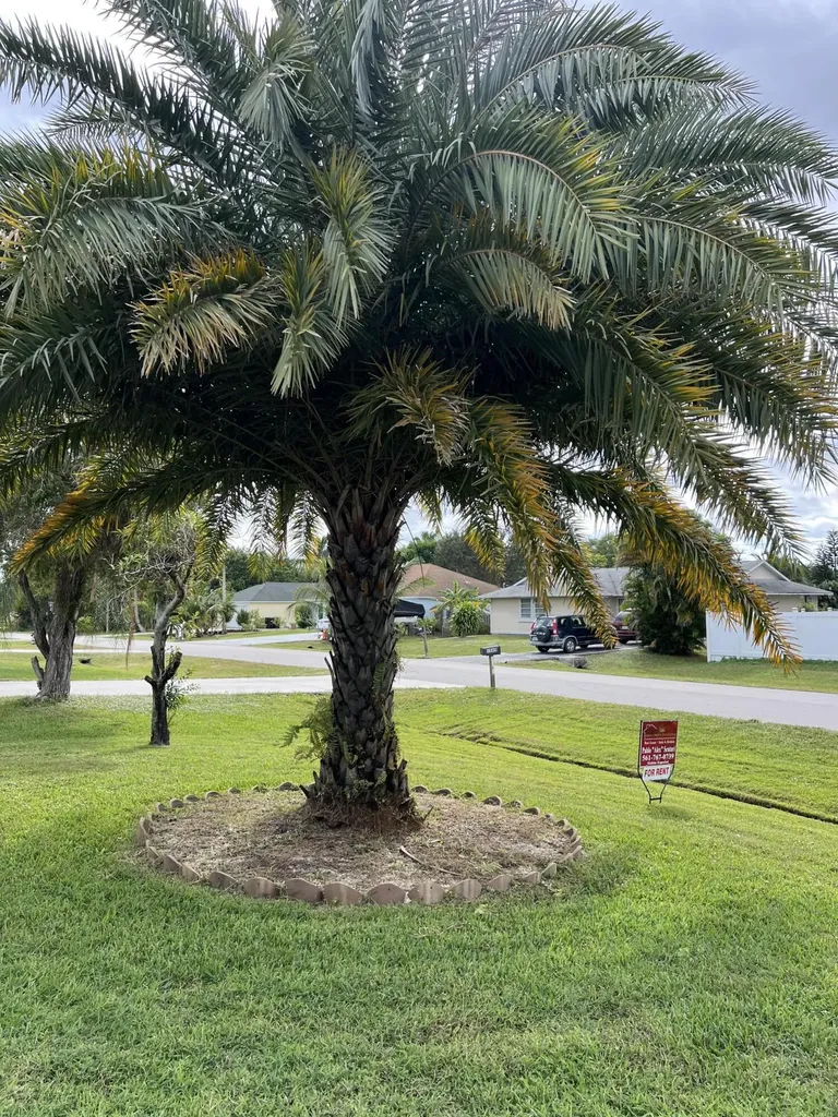 1561 SE Appamattox Terrace Port St Lucie FL 34952