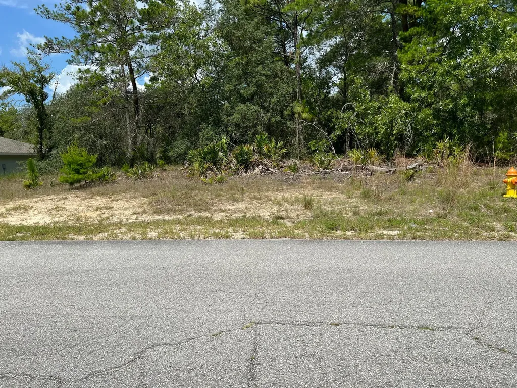 6876 N Sandborn Loop Citrus Springs FL 34433