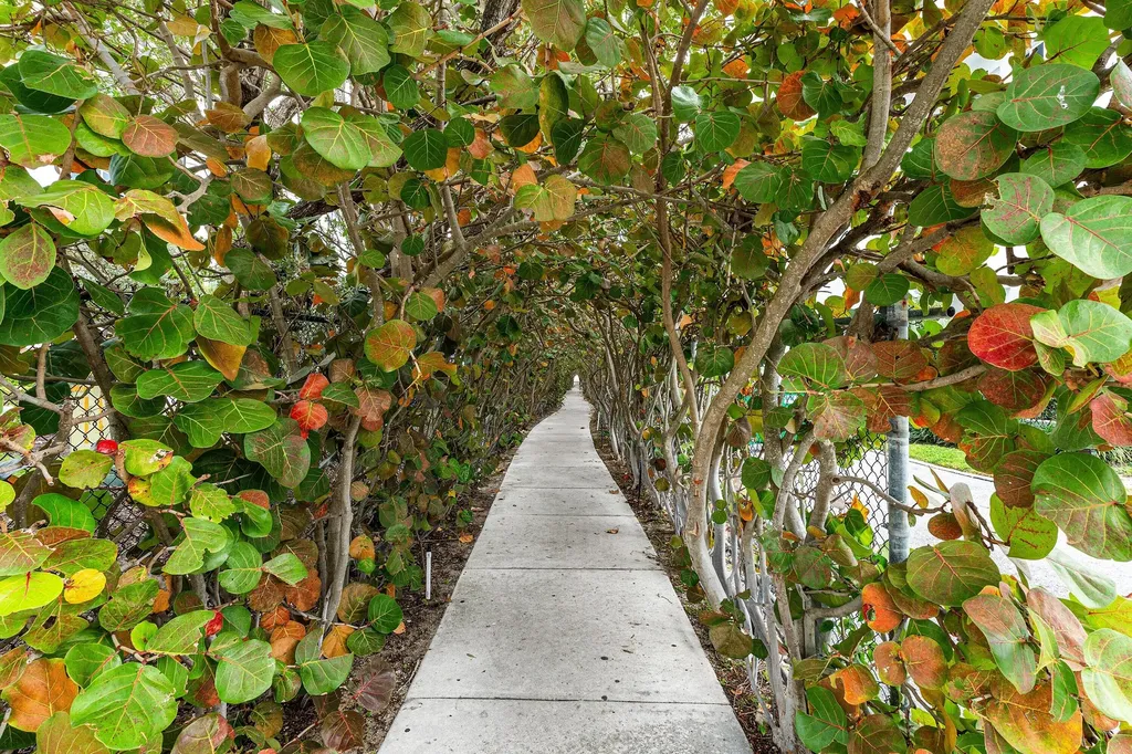 100 Bravado Lane Palm Beach Shores FL 33404