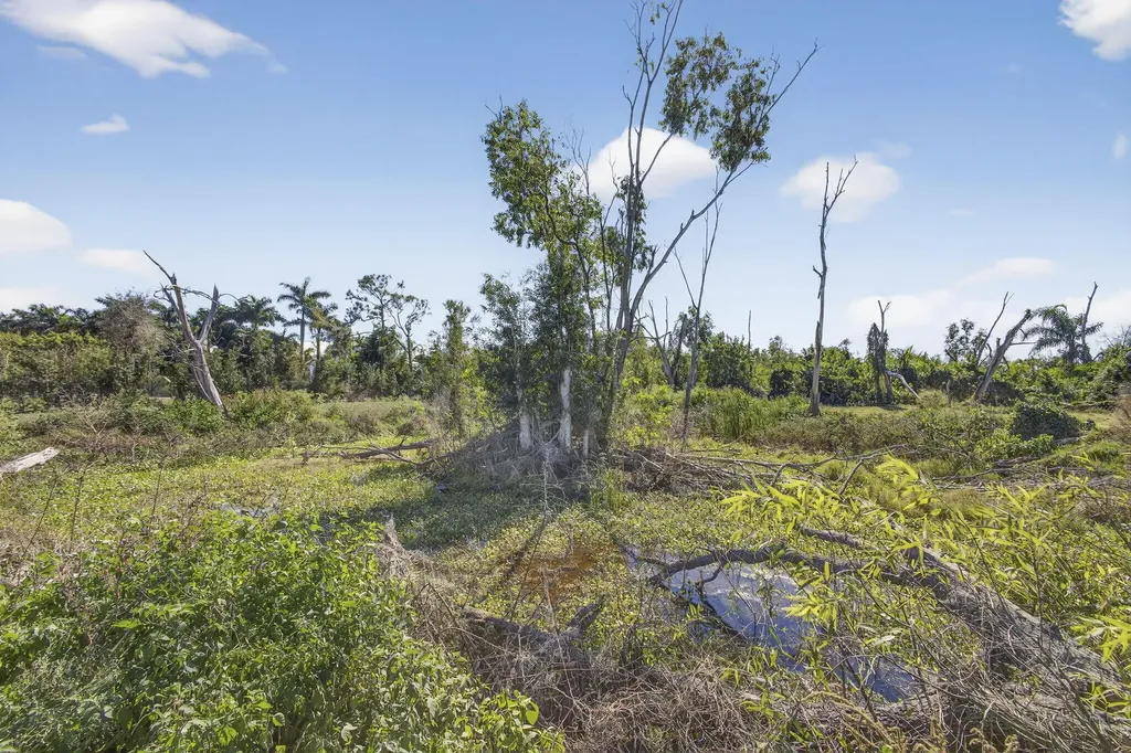 16296 Deer Path Lane Wellington FL 33470