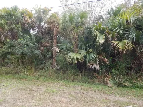 581 Avenida Del Sur Clewiston FL 33440