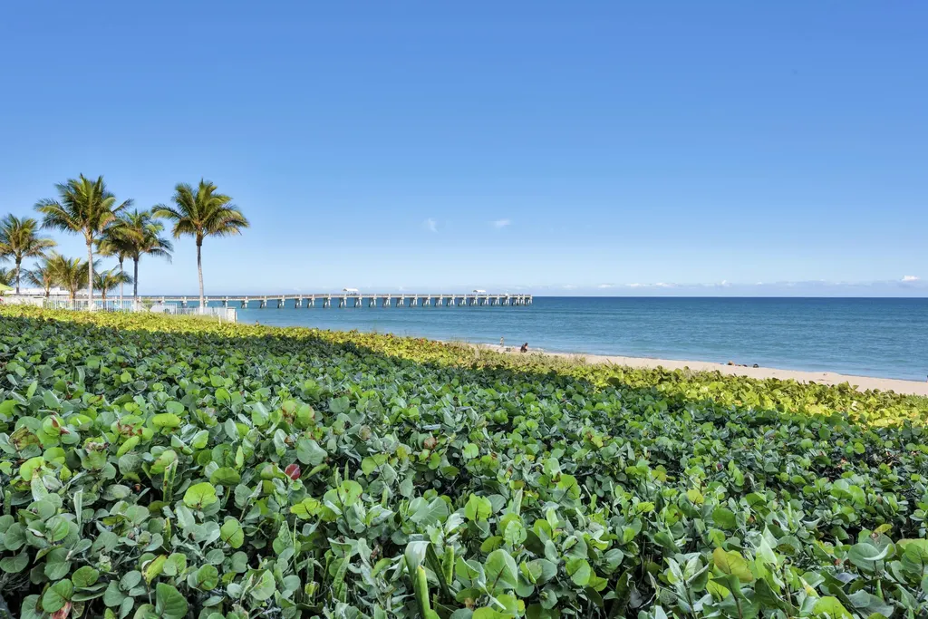 3100 S Ocean Boulevard Palm Beach FL 33480