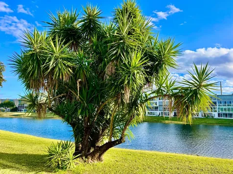 1011 Harwood C Deerfield Beach FL 33442