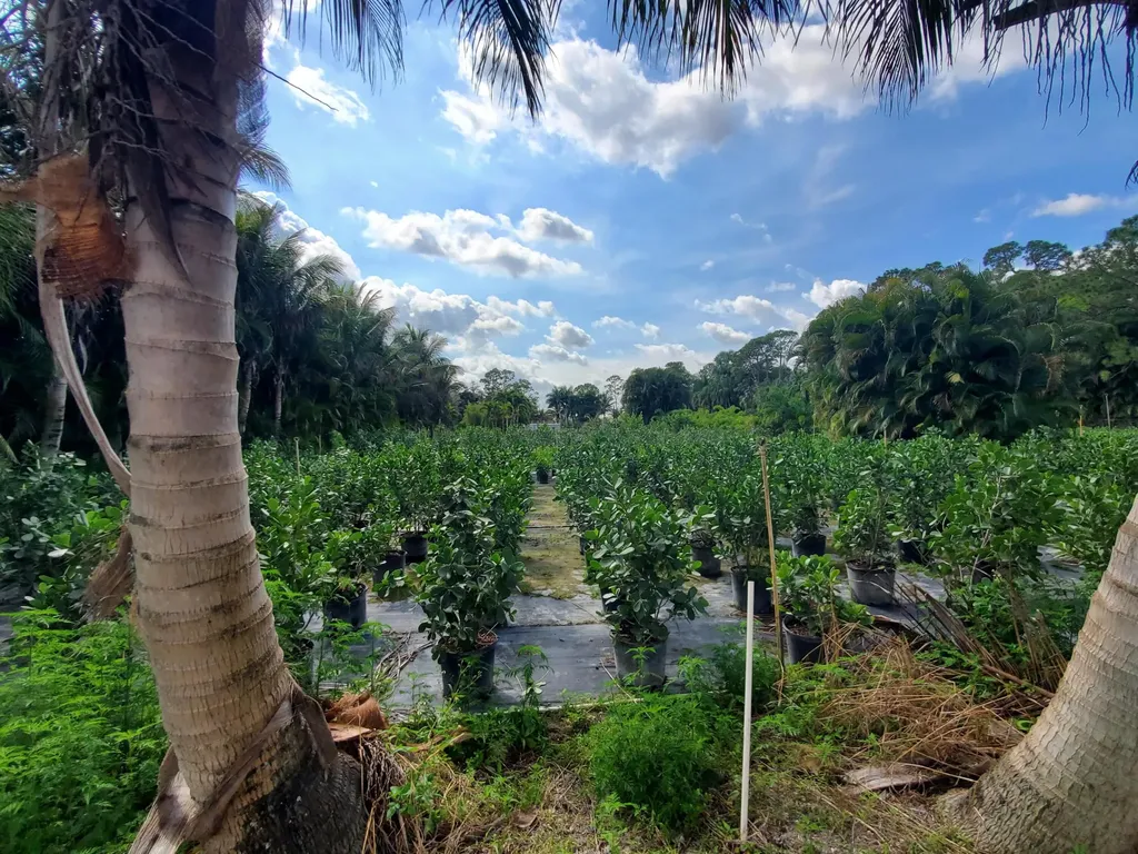 10655 61 Street S Wellington FL 33449