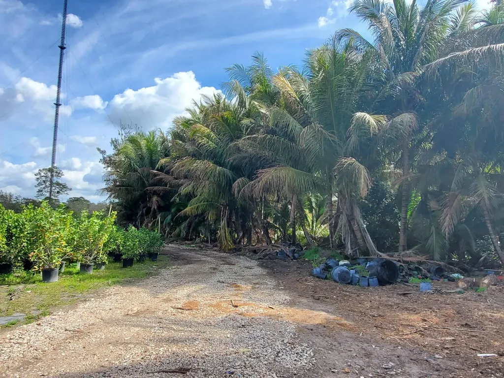 10655 61 Street S Wellington FL 33449