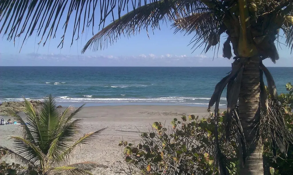 17396 Boca Club Boulevard Boca Raton FL 33487