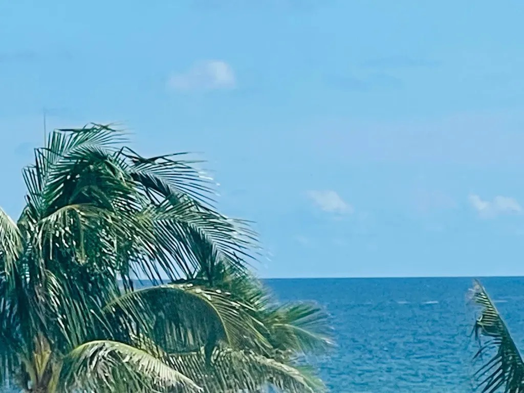 1237 Hillsboro Mile Hillsboro Beach FL 33062