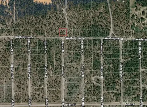0000 Washington Drive Hawthorne FL 32640