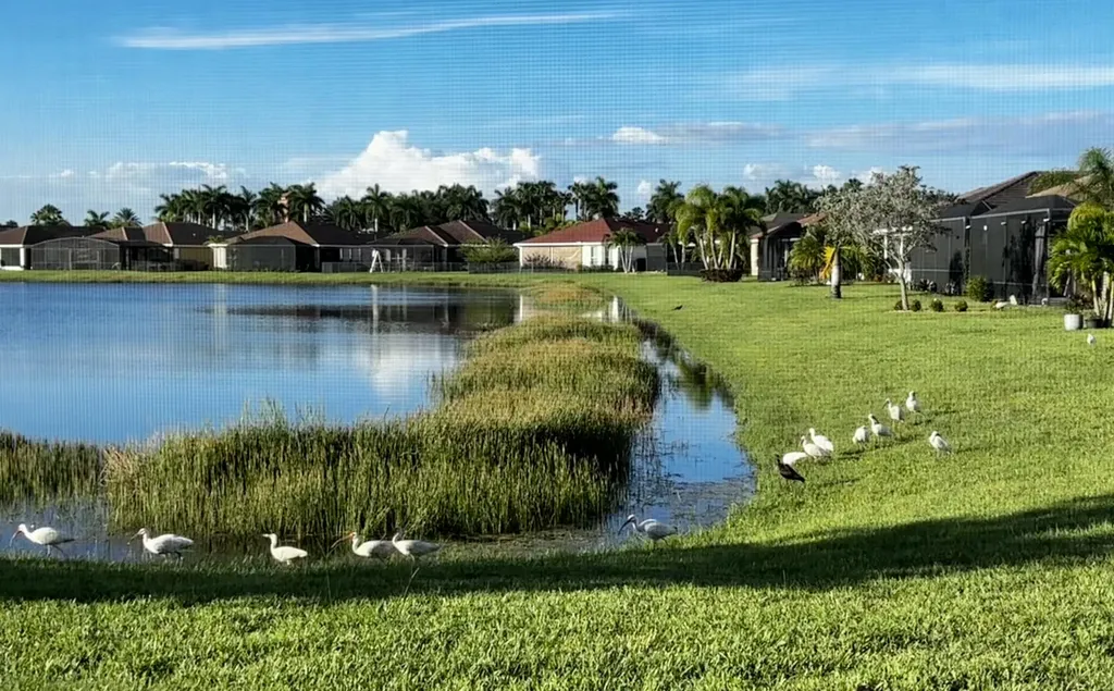 10288 SW Yellowwood Avenue Port St Lucie FL 34987