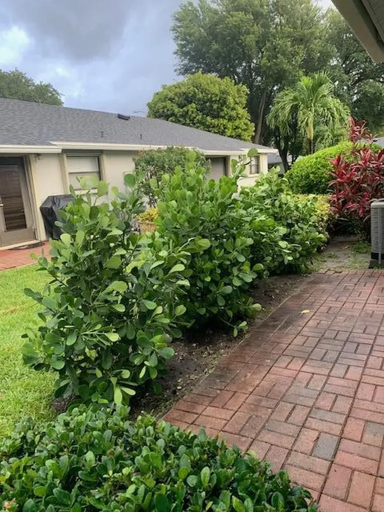 9860 Pecan Tree Drive Boynton Beach FL 33436