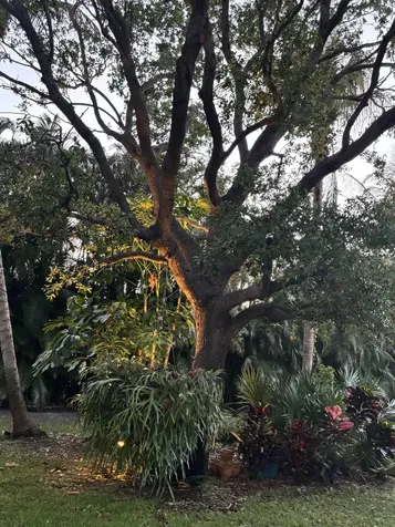 2412 SE Saint Lucie Boulevard Stuart FL 34996