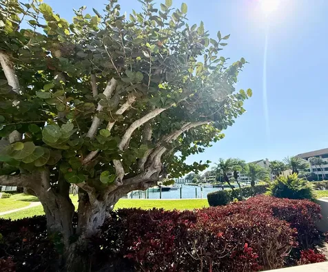 1141 Marine Way E North Palm Beach FL 33408