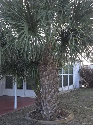 2915 Roger Street Sebring FL 33872