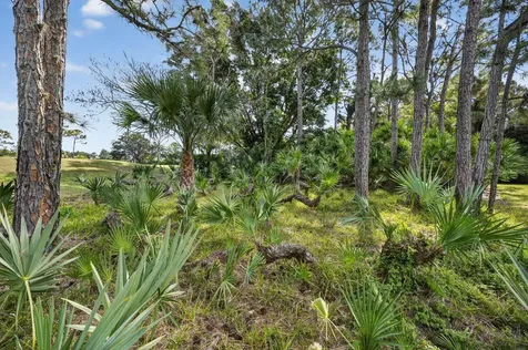8293 SE Palm Hammock Lane Hobe Sound FL 33455