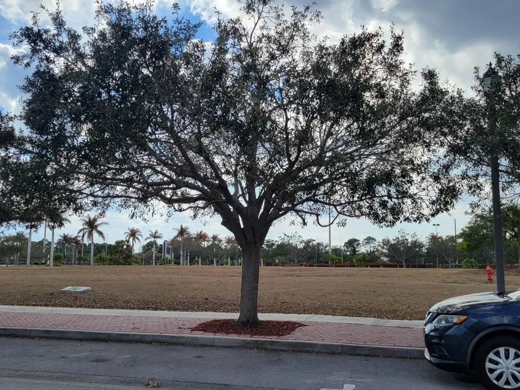 2185 SE Wild Meadow Circle Port St Lucie FL 34952