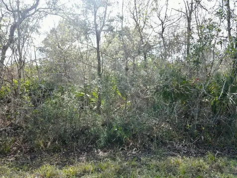 1465 NE 342nd Trail Okeechobee FL 34972
