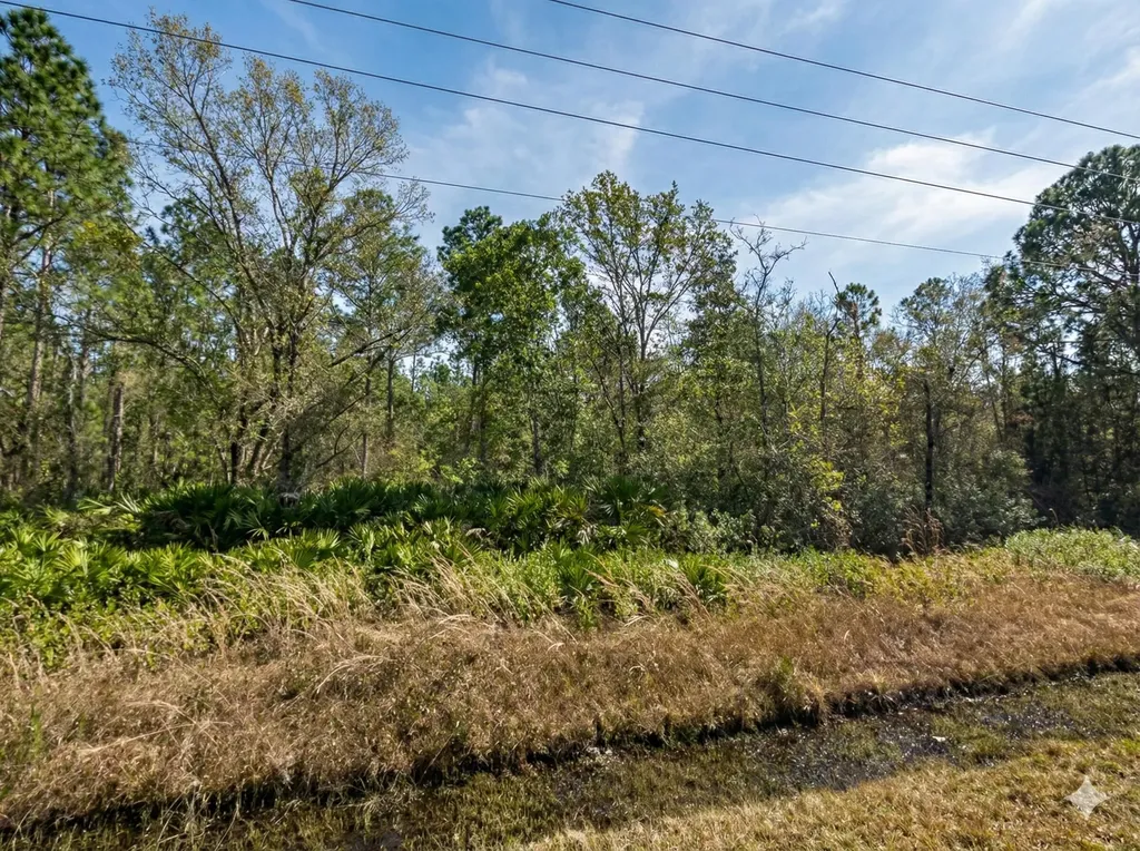 10720 Yeager Avenue Hastings FL 32145