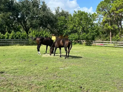 7251 Gullotti Place Port St Lucie FL 34952